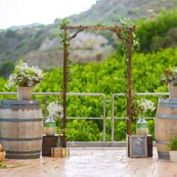 Winery Wedding In Cyprus
